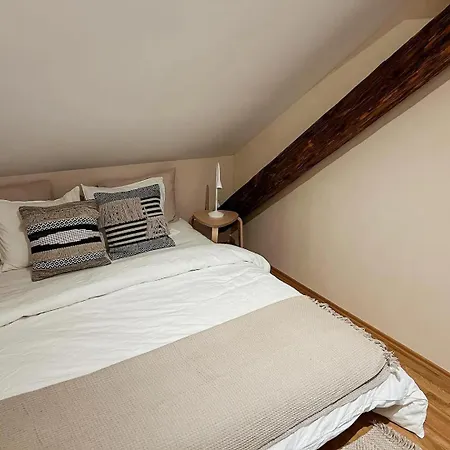 Stilvolle Stadtwohnung - Self Check-in Mit Guten Parkmöglichkeiten Graz