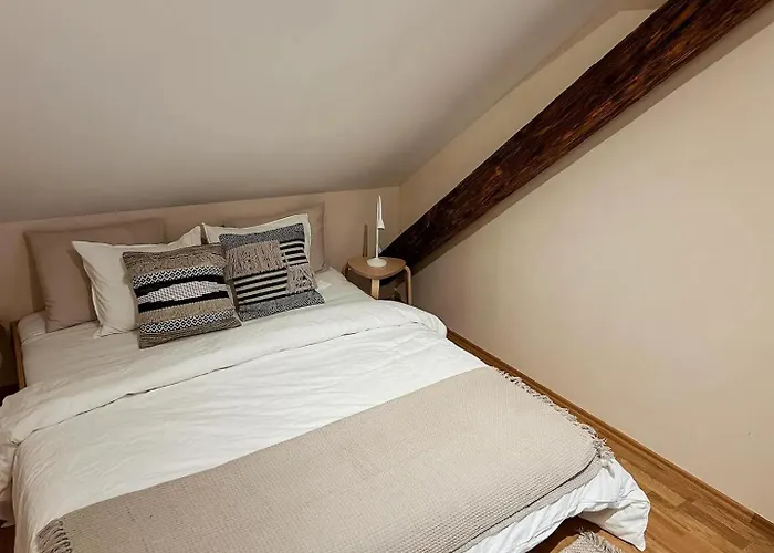 Stilvolle Stadtwohnung - Self Check-in Mit Guten Parkmöglichkeiten Graz